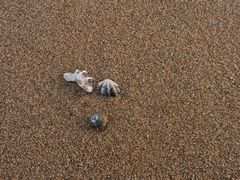 -威海国际海水浴场旅游区