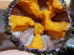 鲜活海胆-割烹旭日本料理(龙湖狮山天街店)