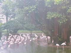 -九龙公园