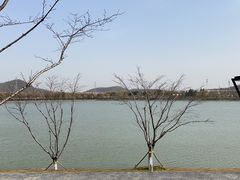 -羊山湖公园