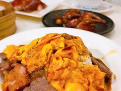-禄興記香港大排档(歌斐中心店)