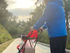 -王借岗森林公园