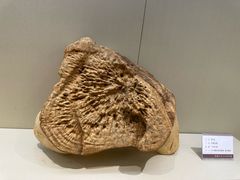 -中国沉香文化博物馆