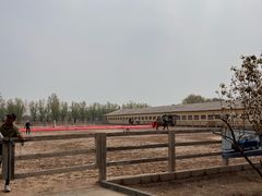 -北京群众马术培训基地