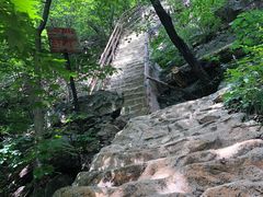-天女山森林公园