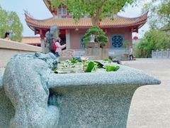 -仙岳公园