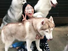 -TrueLove @ Neverland (Husky Cafe)