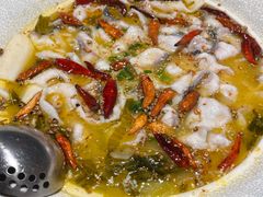 经典黑鱼酸菜鱼-新太二·鲜料川菜(晶耀前滩店)