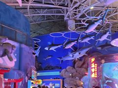 -烟台海昌鲸鲨海洋公园