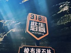 -梭布垭石林景区