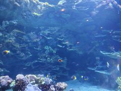 -欢乐海岸海洋奇梦馆