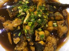 -全乐鱼馆·淳牌有机鱼直营店