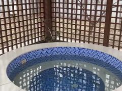 -中家鑫园温泉酒店鑫悦汤泉