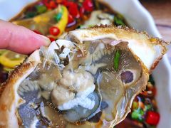 腌三目蟹-圆蛋酒料•生腌(开元路店)