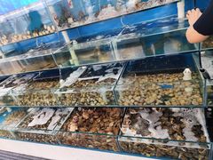 -仙螺岛海鲜自助餐厅(总店)