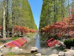 -东平国家森林公园