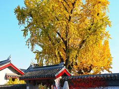 -惠山古镇·寄畅园