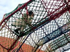 -苏州太湖西山岛开心农场