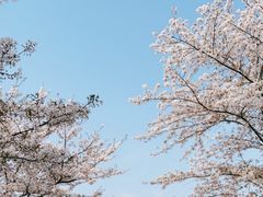 -上海辰山植物园