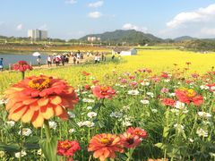 -光明小镇欢乐田园