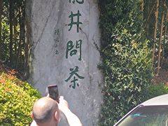 -龙井村