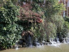 -上海怡沁园度假酒店