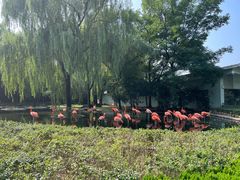 -石家庄市动物园