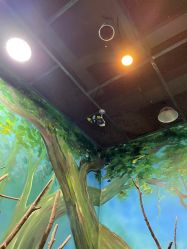 -宝燕乐园(闵行旗舰店)