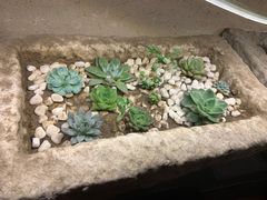-望京一号·重庆江湖菜(工体店)
