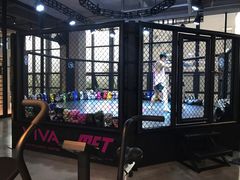 -GYMCARE VIVA(金开店)