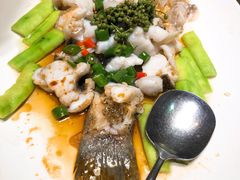 鲜花椒蒸桂花鲈-猪肉婆私房菜(容桂总店)