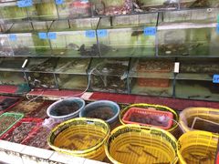 -红海湾豪记海鲜大排档