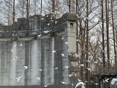 -音乐台