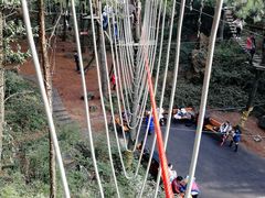 -梦幻奥陶纪景区