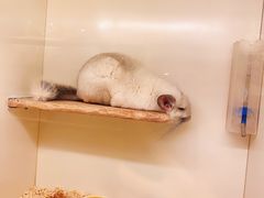 -龙猫仔乐园(惠福东路店)