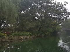 -西湖游船