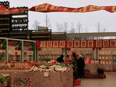 -中国天府农业博览园