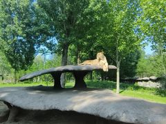 -北京野生动物园