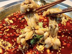 -蛙一刀·麻椒鱼火锅(金仙桥店)