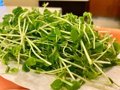 -八先生涮肉房(三里河店)