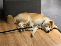 -YCHL Studios健身工作室(市二宫店)