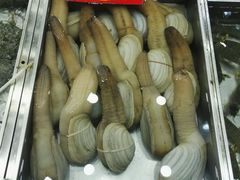 -湛江渔港·大排档(乐园路总店)