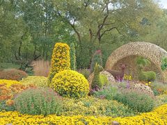 -上海共青森林公园