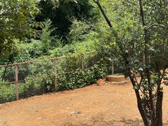 -昆明动物园