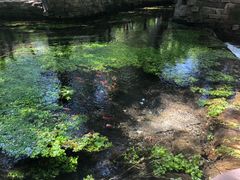 -水磨沟公园