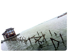 iphone_upload_pic-同里湖度假村(二期店)