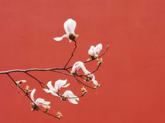 -东华门大街小区