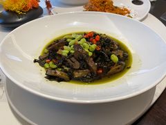 -四季春