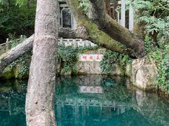 -蝴蝶泉公园