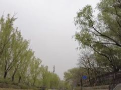 -皇家御河游(紫御湾码头)